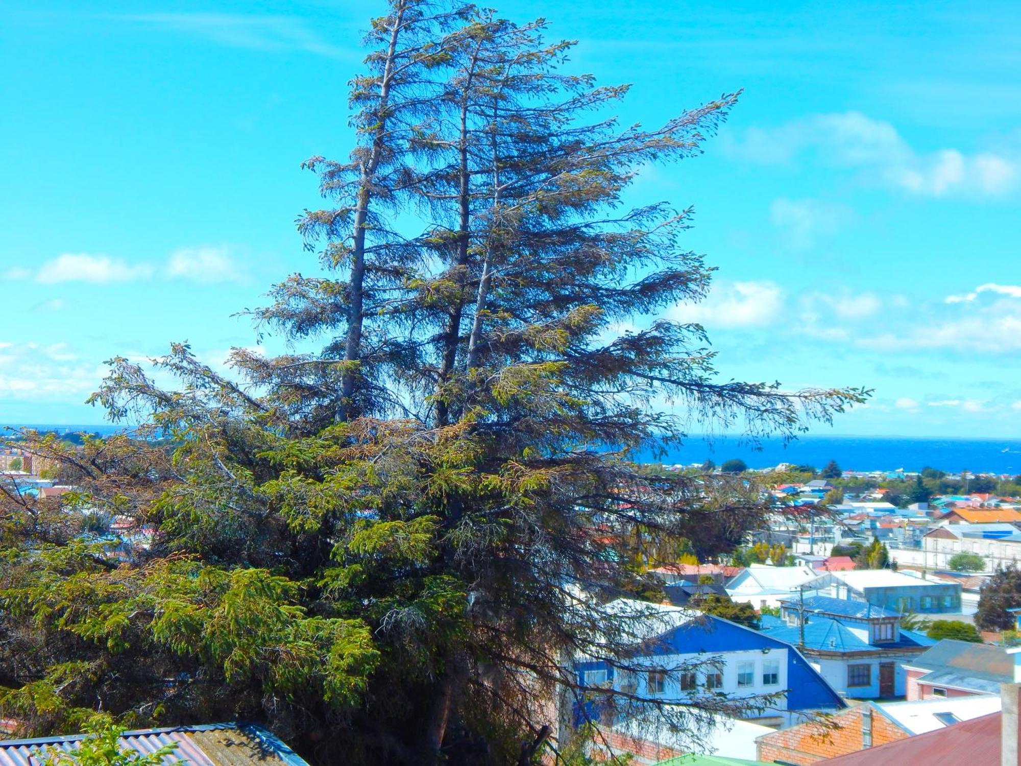 Hostal Buenavista Patagonia Πούντα Αρένας Εξωτερικό φωτογραφία